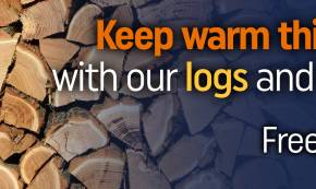 Logs and kindling